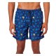 BOXER MINI PALM BOARDSHORT SUNDEK